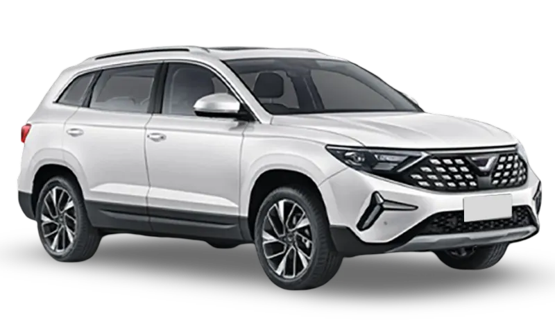selected car