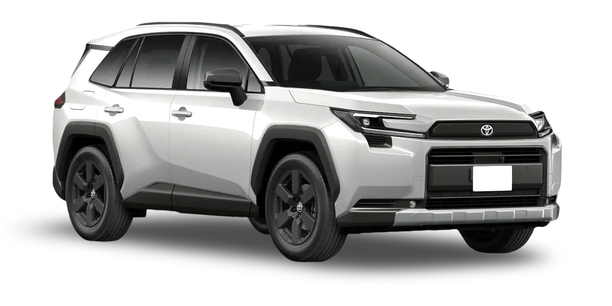 selected car